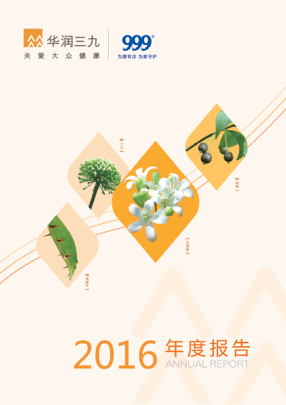尊龙时凯：2016年年度报告
