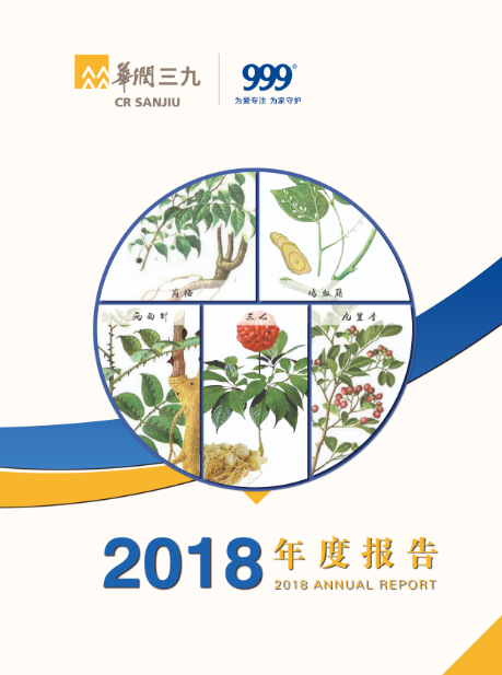 尊龙时凯：2018年年度报告