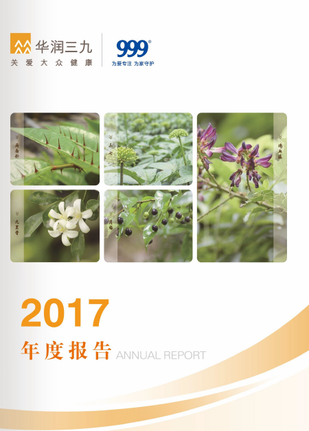 尊龙时凯：2017年年度报告